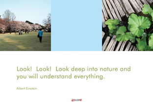 SketchUp在旅游度假项目建筑设计中的核心价值与应用实践